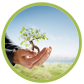 Search Engine Optimisation Consultant