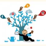 Social Media 3